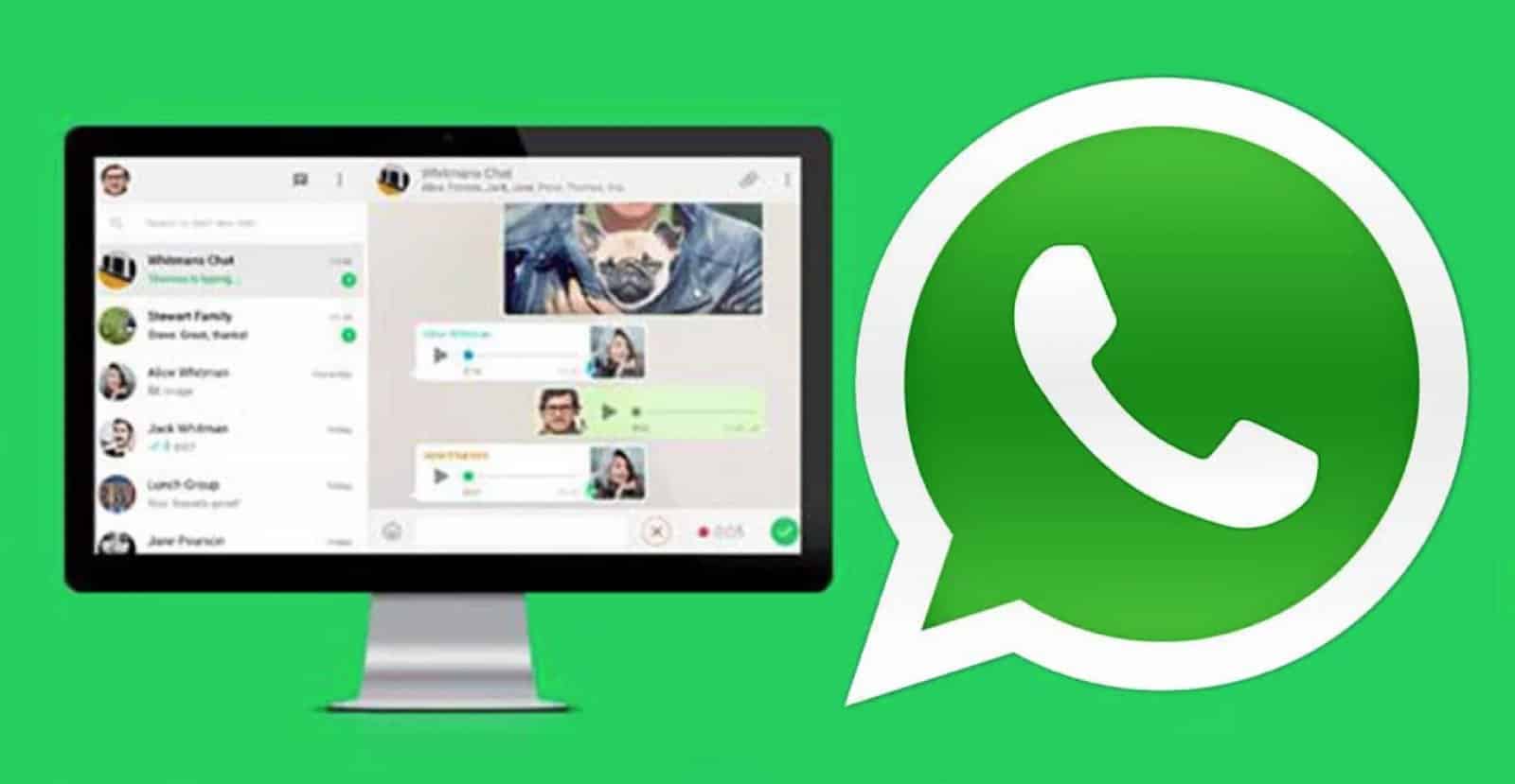 download whatsapp video on pc